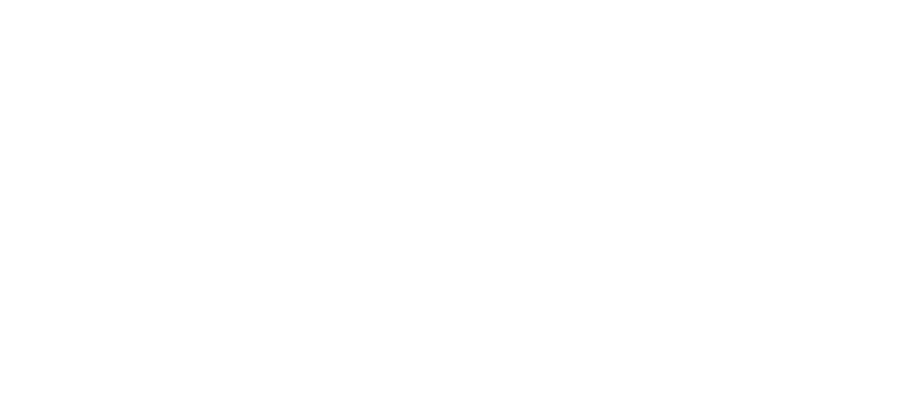 DK Dynamic Ventures